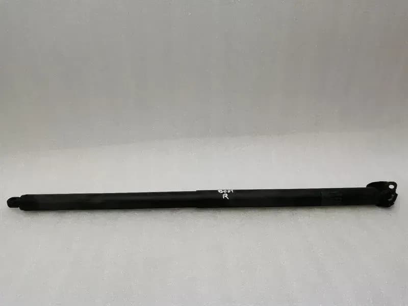 Tesla Model X P100D Boat Lid Strut 1065669-00-A Gas Shock Absorber Tailgate
