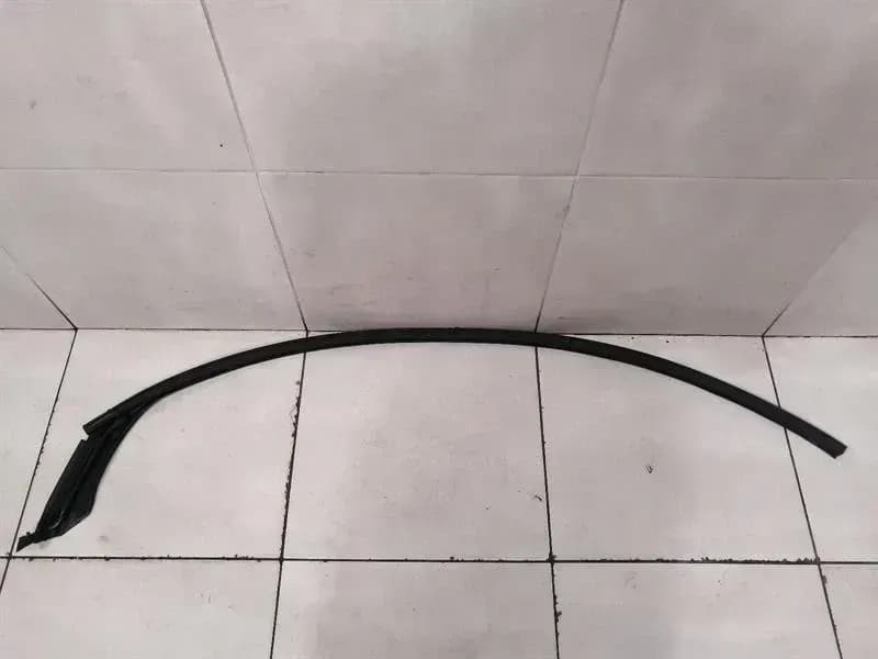 TESLA Tesla Model X P100D FLH Door Seal 1032147-00-C Door Seals Front Left