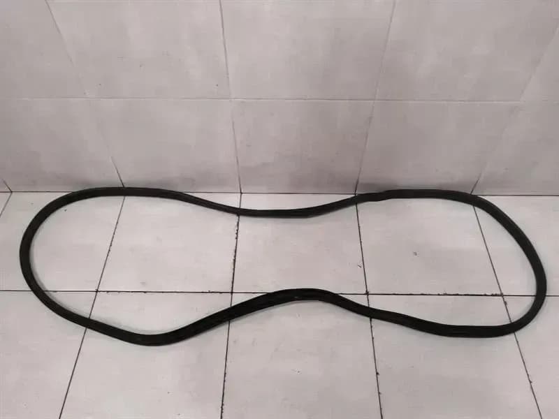 TESLA Tesla Model X P100D FLH Door Seal 1032117-00-D Door Seals Front Left