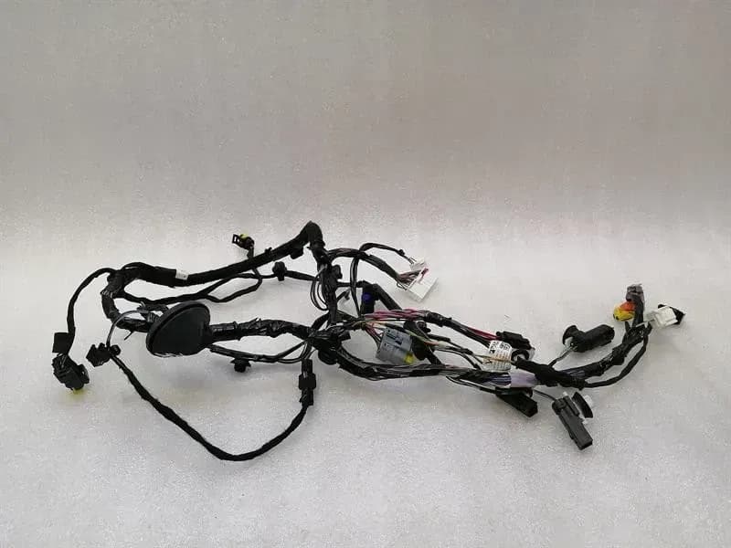 TESLA Tesla Model X P100D RRH Door Wiring 1032442-70-G Rear Right Door Harness