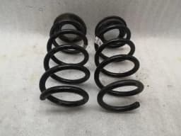 TESLA Tesla Model 3 Coil Spring Rear Set 1044472-00-G Rear Suspension Spring Spring — thumbnail 1