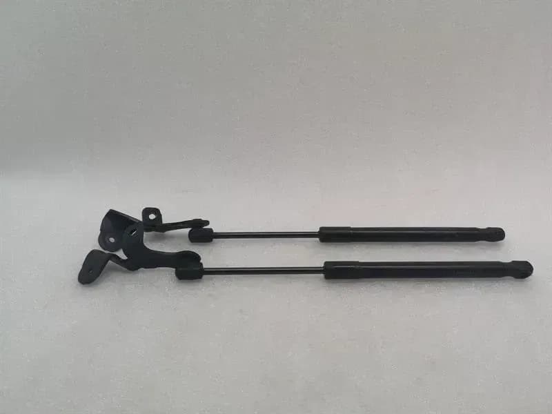 TESLA Tesla Model 3 Standard Range Bonnet Hinge set1089587-00-C Hood Hinge set