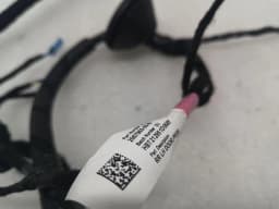 TESLA Tesla Model 3 Long Range RLH Door Wiring 2067965-00-B Rear L Door Harness — thumbnail 2