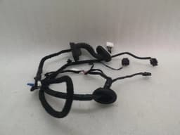 TESLA Tesla Model 3 Long Range RLH Door Wiring 2067965-00-B Rear L Door Harness — thumbnail 3