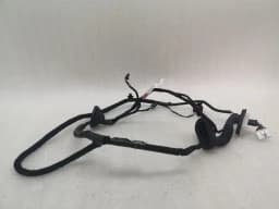 TESLA Tesla Model 3 Long Range RLH Door Wiring 2067965-00-B Rear L Door Harness — thumbnail 1