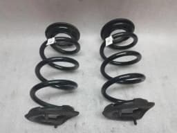 TESLA Tesla Model 3 Coil Spring Rear 1044472-01-E Suspension Spring Rear Set — thumbnail 1