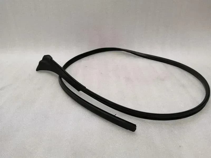 PORSCHE Porsche Taycan 9J Door Seal 9J1853911A Door Seals