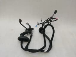 TESLA Tesla Model 3 RRH Door Wiring Loom 2067966-00-B Rear Right Door Harness — thumbnail 1