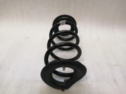 TESLA Tesla Model 3 Coil Spring Rear 1044472-01-E Rear Suspension Spring Spring — thumbnail 2