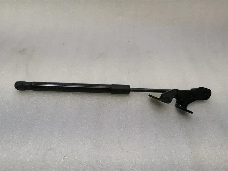 TESLA TESLA MODEL 3 LONG RANGE Bonnet Strut 1091472-00-B Shock Bonnet LEFT LEFT
