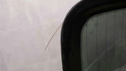 PORSCHE Porsche 911 997 rear screen 99754591103 rear window coupe — thumbnail 5
