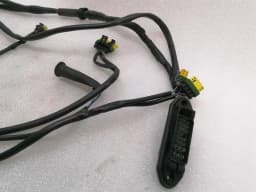 FERRARI Ferrari 360 F131 Left Door Wiring Loom 183327 Harness Left Door — thumbnail 2