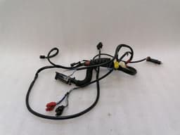 FERRARI Ferrari F355 F129 Spider Wiring Loom 163786 Harness LEFT DOOR LEFT DOOR — thumbnail 1