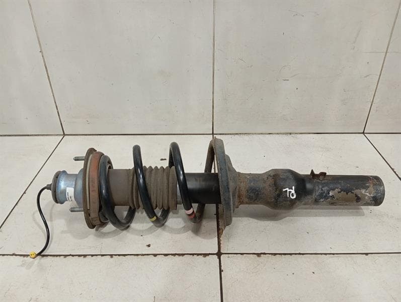 PORSCHE Porsche Cayman 981 Shock Absorber Rear 98133303519 Shock Absorber Rear PASM