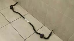 PORSCHE Porsche 911 996 Anti Roll Bar Rear 99633370125 Rear Stabilizer — thumbnail 3