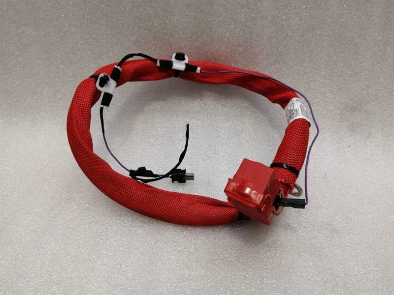 BMW BMW X4 G02 Wiring Loom 689820 Harness POSITIVE + X3 G01