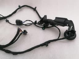 BENTLEY BENTLEY BENTAYGA 36A MK2 Wiring Loom FR DOOR Wiring Harness DOOR DOOR — thumbnail 3