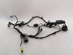BENTLEY BENTLEY BENTAYGA 36A MK2 Wiring Loom FR DOOR Wiring Harness DOOR DOOR — thumbnail 1