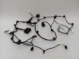 FERRARI Ferrari 296 GTB 296GTB F171 Wiring Loom 846151 Wiring Harness LEFT RHD DOOR — thumbnail 1