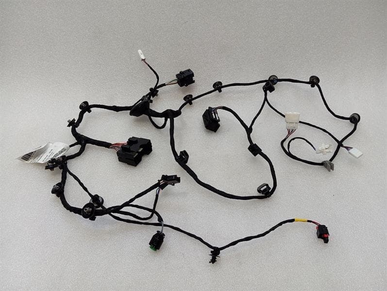 FERRARI Ferrari 296 GTB 296GTB F171 Wiring Loom 846151 Wiring Harness LEFT RHD DOOR
