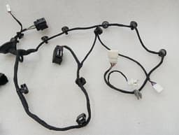 FERRARI Ferrari 296 GTB 296GTB F171 Wiring Loom 846151 Wiring Harness LEFT RHD DOOR — thumbnail 3