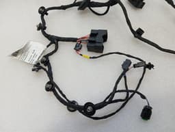 FERRARI Ferrari 296 GTB 296GTB F171 Wiring Loom 846151 Wiring Harness LEFT RHD DOOR — thumbnail 8
