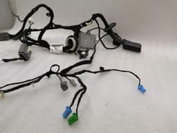 LAND ROVER Range Rover Sport L494 Passenger Door Wiring HPLA-14D617-BD Passenger Wiring Harness — thumbnail 7