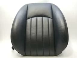 MERCEDES-BENZ Mercedes CLS W219 front left seat backrest A2199103547 seat front left — thumbnail 1