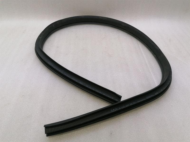 MERCEDES-BENZ Mercedes SL R231 Door Seal A2316970051 Door Seals L=R