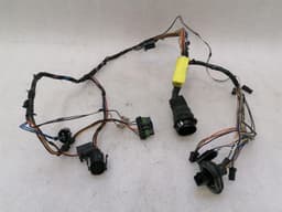 BENTLEY BENTLEY ARNAGE GREEN LABEL Wiring Loom PM20816 Wiring Harness DOOR LH — thumbnail 6