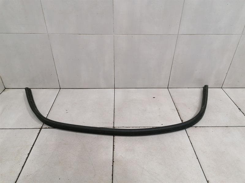 FERRARI Ferrari 458 F142 Spider Door Seal 83987400 Door Seals