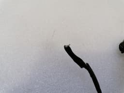 FERRARI FERRARI F430 430 F131 SCUDERIA 16M Wiring Loom 233832 FRONT END FRONT Wiring Harness — thumbnail 4