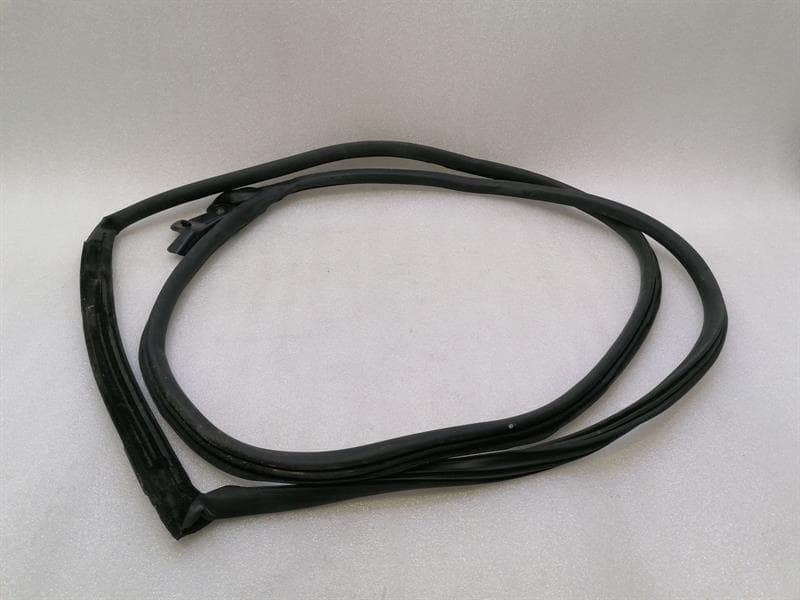 ASTON MARTIN Aston Martin Vantage V8 Door Seal 6G33-C20709-AH LEFT LEFT Door Seals