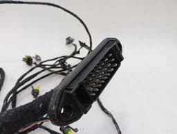 FERRARI Ferrari F430 430 F131 Scuderia Spider 16M Wiring Loom 253621 Wiring Harness — thumbnail 8