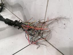 BENTLEY 2020 Coupe Bentley Continental GT 18-24 3S 3SD Wiring Loom MAIN RHD Wiring Harness — thumbnail 5