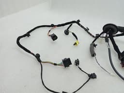 PORSCHE Porsche Cayman 718 GT4RS Wiring Loom 9P4971688AJ LEFT DOOR Wiring Harness — thumbnail 2