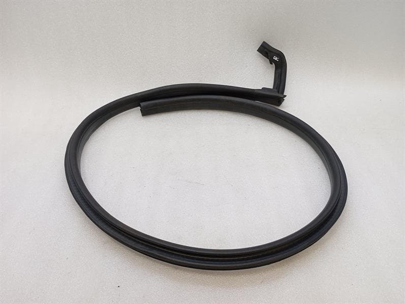 MCLAREN McLaren 720S Spider Door Seal 14AB122SP Door Seals RH DOOR SPIDER RIGHT