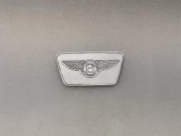 BENTLEY Bentley Continental GT V8S Engine Cover 3W0103925C Engine Cover — thumbnail 7