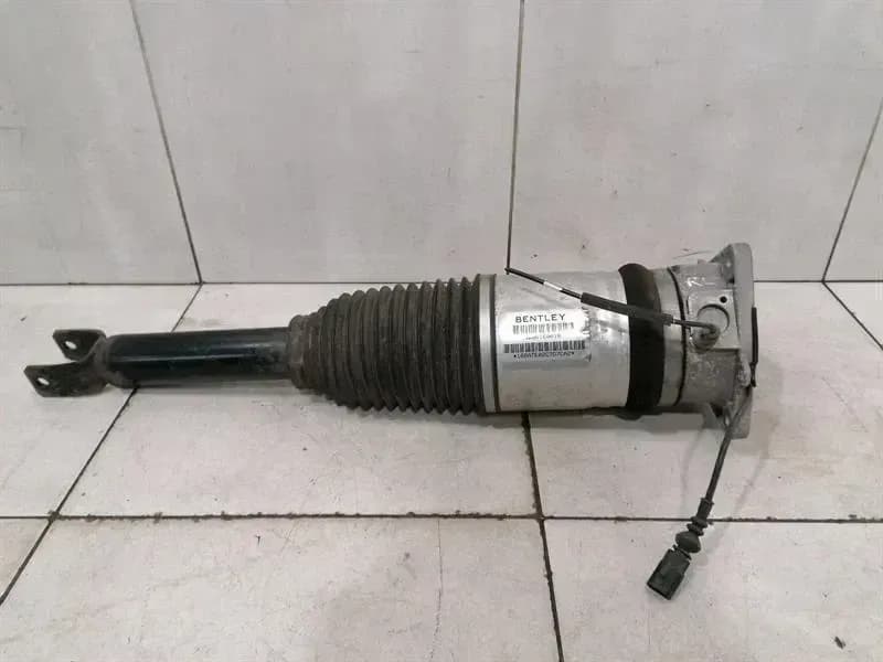 Bentley Continental GT Shock Absorber Rear 3W8616001B Rear Shock Absorber 11-18