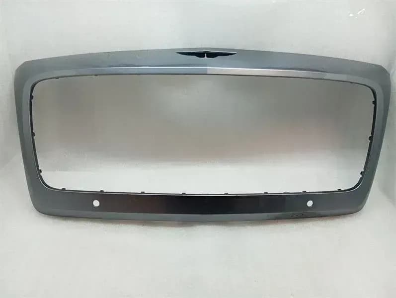 2019 Bentley Flying Spur Grille Frame Radiator Grill 3SE853653
