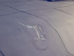 MERCEDES-BENZ Mercedes C Class W205 Left Front Door A2057209726 Door Front Left — thumbnail 5