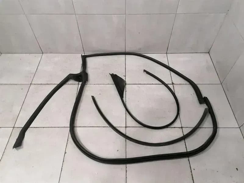 ASTON MARTIN Aston Martin Vantage AM6 2018-2025 Door Seal KY63-C20708-A RIGHT Door Seals