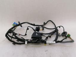 ASTON MARTIN Aston Martin Vantage AM6 Wiring Loom KY63-14630-BB LEFT DOOR Wiring Harness — thumbnail 1