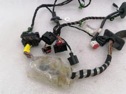 PORSCHE Porsche 911 997 Passenger Door Wiring Loom 99761260255 Passenger Wiring Harness — thumbnail 2