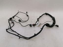 FERRARI Ferrari Roma F169 Wiring Loom 961039 Harness LUGGAGE COMPARTMENT CABLE — thumbnail 1