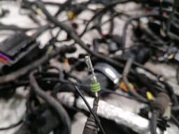 FERRARI Ferrari Roma F169 Wiring Loom RHD MAIN Harness MAIN RHD — thumbnail 8