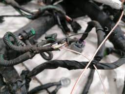 FERRARI Ferrari Roma F169 Wiring Loom RHD MAIN Harness MAIN RHD — thumbnail 5