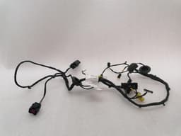 FERRARI Ferrari Roma F169 Wiring Loom 963412 Harness RH DOOR RIGHT DOOR — thumbnail 2
