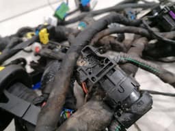 FERRARI Ferrari Roma F169 Wiring Loom RHD MAIN Harness MAIN RHD — thumbnail 6