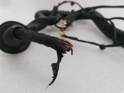 FERRARI Ferrari Roma F169 Wiring Loom 963415 Harness LEFT DOOR LEFT DOOR — thumbnail 3